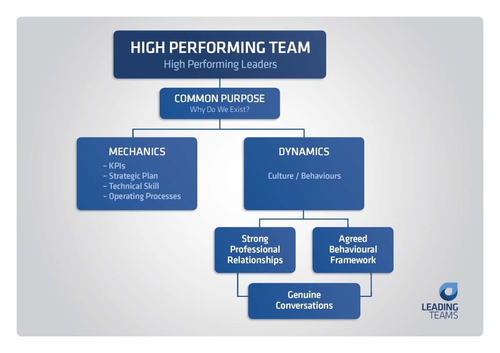 The Leading Teams High Performance Model