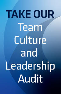  Corporate Culture Audit
